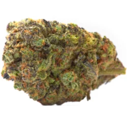 Buy Chocolate OG Indica Weed Strain