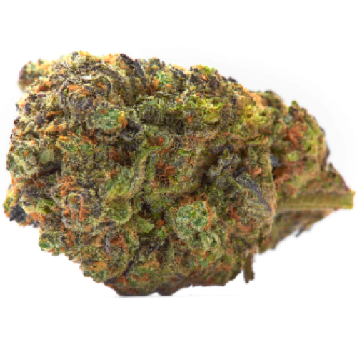 Buy Chocolate OG Indica Weed Strain