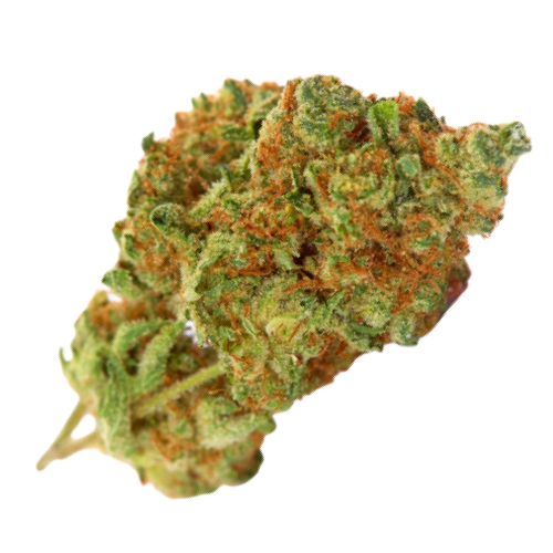 Buy Cookie Glue weed strain Buy Cookie Glue weed strain