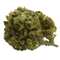 Buy Cookies Gary Payton Weed Strain