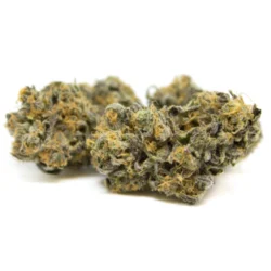 Buy dark Star Weed Strain
