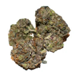 Buy grand Hindu strain