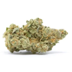 Buy El Dorado Sativa Weed Strain
