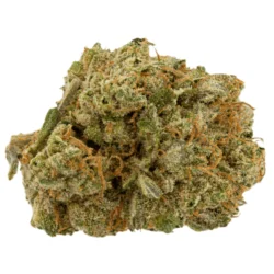 Buy Frida Weed Strain