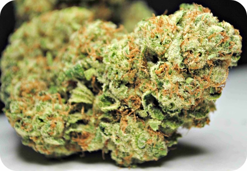Buy God Bud Hybrid weed strain Buy God Bud Hybrid weed strain