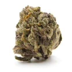 Buy Golden Pineapple Hybrid weed strain