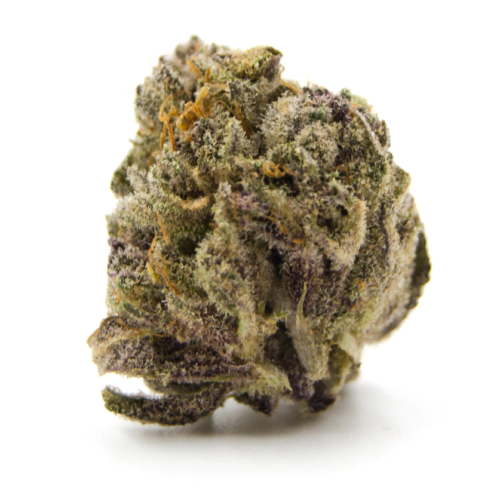 Buy Golden Pineapple Hybrid weed strain Buy Golden Pineapple Hybrid weed strain