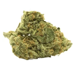 Buy green Crush Sativa Weed Strain