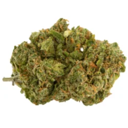 Buy Hawaiian snow Sativa Weed Strain