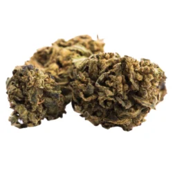 Buy Hindu Weed Strain
