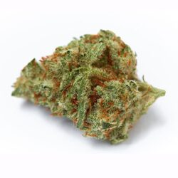 Buy Holy Grail Hybrid weed strain