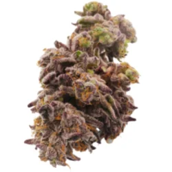 Buy jack Frost Hybrid weed strain