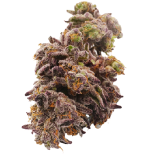 Buy jack Frost Hybrid weed strain Buy jack Frost Hybrid weed strain