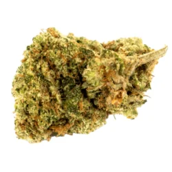 Buy Jamaican Sativa Weed Strain