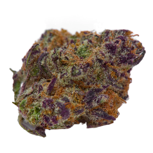 Buy Jenny Kush Hybrid weed strain Buy Jenny Kush Hybrid weed strain