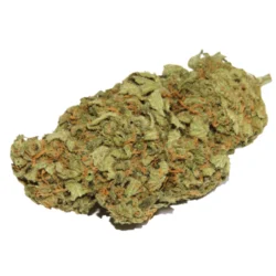 Juicy Wreck Sativa Weed Strain