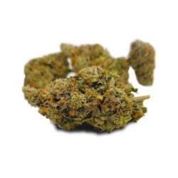 Buy Jungle cake Hybrid weed strain