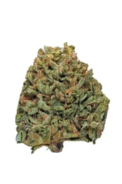 Buy kashmir Kush Hybrid weed strain