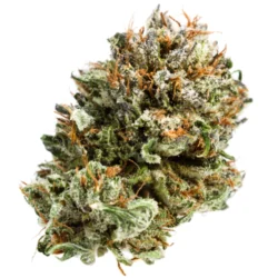 Buy Kentucky Durban Sativa Weed Strain