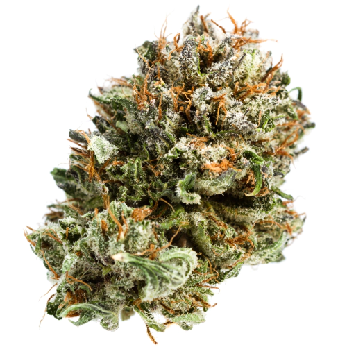 Buy Kentucky Durban Sativa Weed Strain Buy Kentucky Durban Sativa Weed Strain