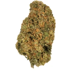 Buy Kings Bread Sativa Weed Strain