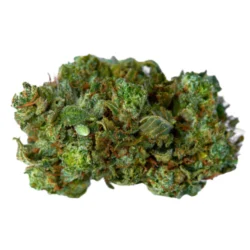 Buy Kosher Kush Weed Strain