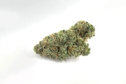 Buy Larry OG Hybrid weed strain