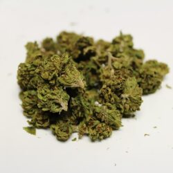Buy Lemon OG Hybrid weed strain