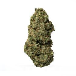 Buy Lemon Tree Hybrid weed strain
