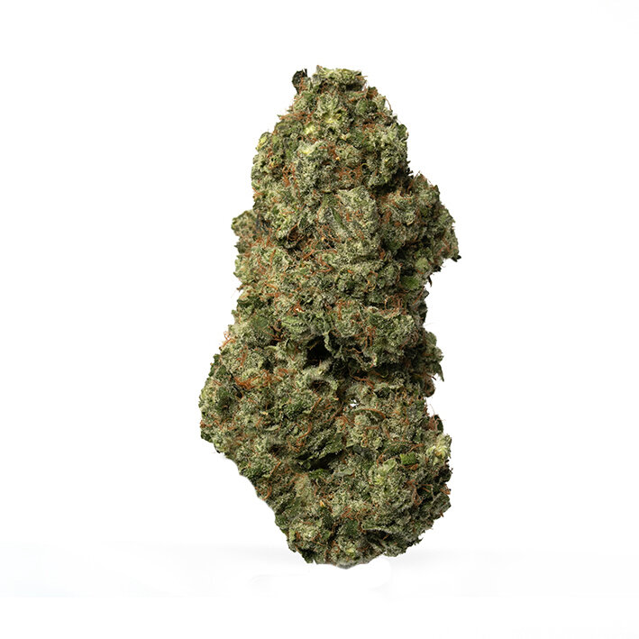 Buy Lemon Tree Hybrid weed strain Buy Lemon Tree Hybrid weed strain