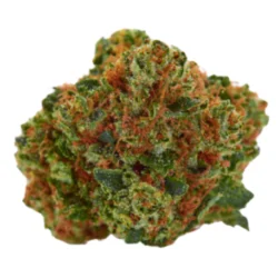 Buy Loud Sativa Weed Strain