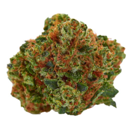 Buy Loud Sativa Weed Strain Buy Loud Sativa Weed Strain