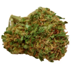 Buy Mag Landrace Weed Strain