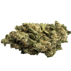 Buy Mystery Haze Sativa Weed Strain
