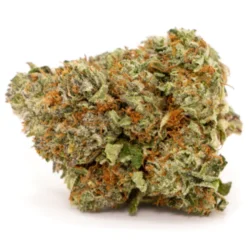 Buy OG Indica Cannabis Strain