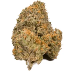 Buy Orange Kush Hybrid weed strain