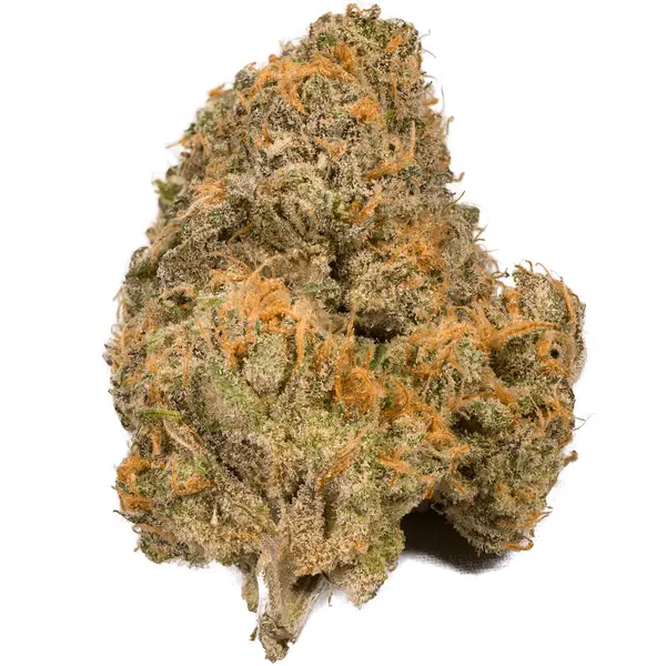 Buy Orange Kush Hybrid weed strain Buy Orange Kush Hybrid weed strain