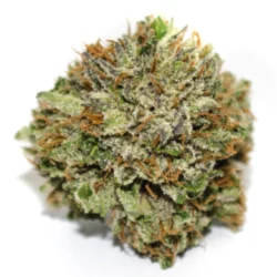 Buy Peachese and Cream Sativa Weed Strain