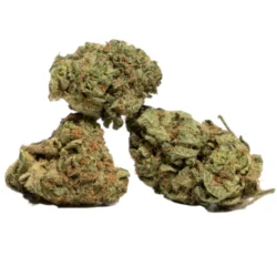Buy Pine tar Kush Weed Strain