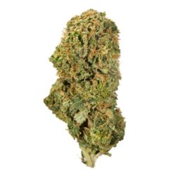 Buy Pineapple Chunk Hybrid weed strain