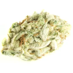 Buy Pinetrak Sativa Weed Strain