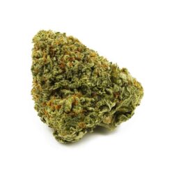 Buy Pink Cookies Hybrid weed strain