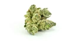 Buy Platinum Fire OG Weed Strain