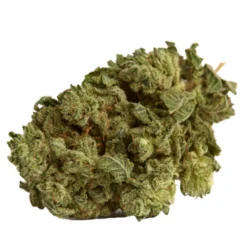 Buy Purple Roze Sativa Weed Strain