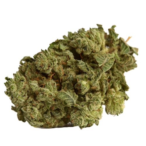Buy Purple Roze Sativa Weed Strain Buy Purple Roze Sativa Weed Strain