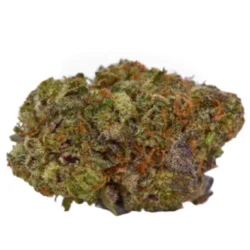 Buy Romulan Weed Strain