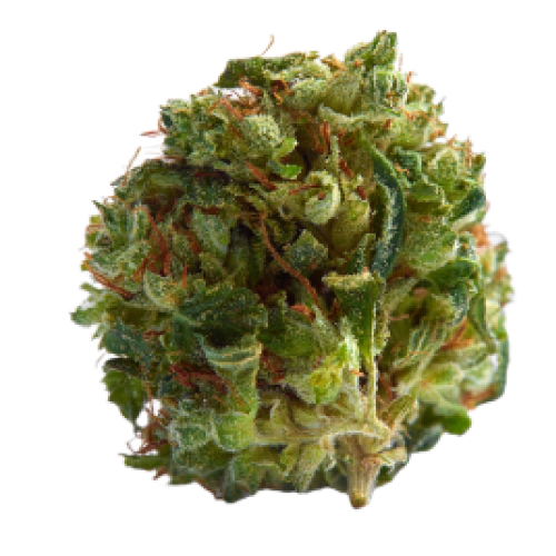 Buy Sour Banana Sherbet Hybrid weed strain Buy Sour Banana Sherbet Hybrid weed strain