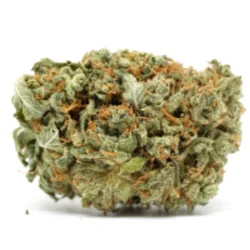 Buy Super Sour Diesel Sativa Weed Strain