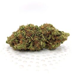 Buy Tangie Hybrid weed strain