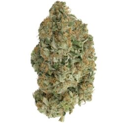 Buy Venom OG weed strain